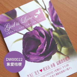 DW00022-紫愛桔梗